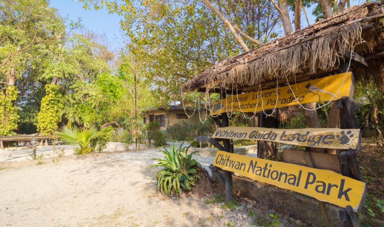 Chitwan Gaida Lodge - Animal Lovers & Birdwatchers Paradise 사우라하 외부 사진