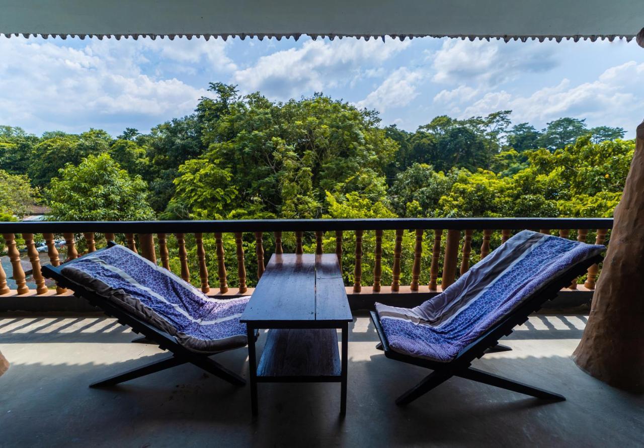 Chitwan Gaida Lodge - Animal Lovers & Birdwatchers Paradise 사우라하 외부 사진