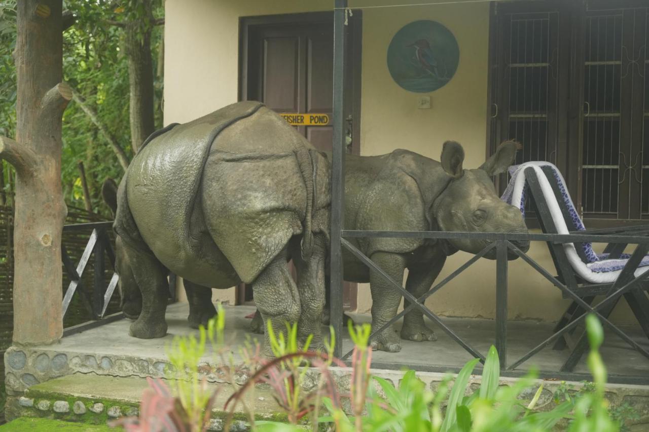 Chitwan Gaida Lodge - Animal Lovers & Birdwatchers Paradise 사우라하 외부 사진