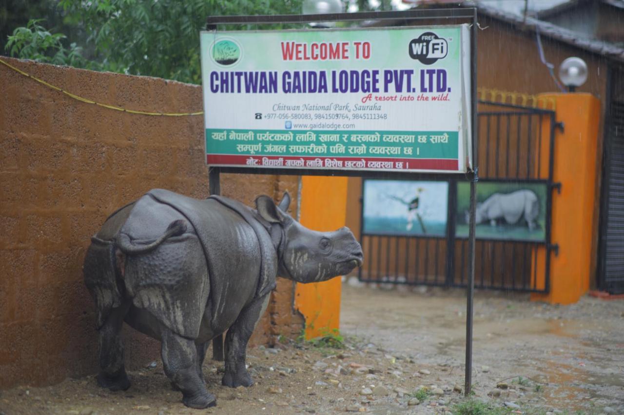 Chitwan Gaida Lodge - Animal Lovers & Birdwatchers Paradise 사우라하 외부 사진