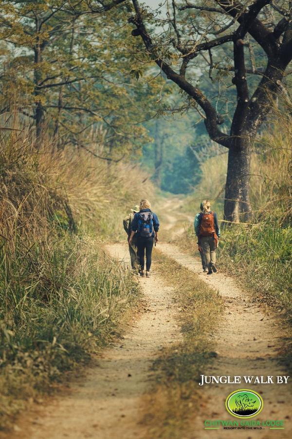 Chitwan Gaida Lodge - Animal Lovers & Birdwatchers Paradise 사우라하 외부 사진