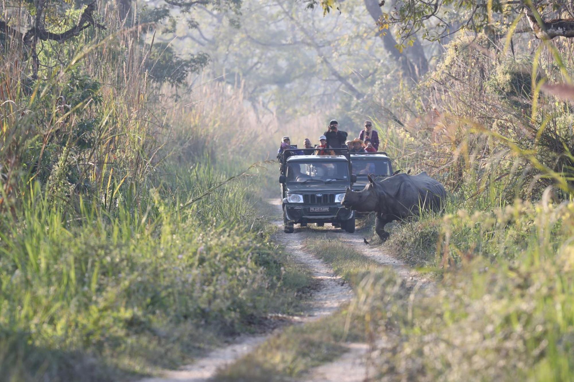 Chitwan Gaida Lodge - Animal Lovers & Birdwatchers Paradise 사우라하 외부 사진