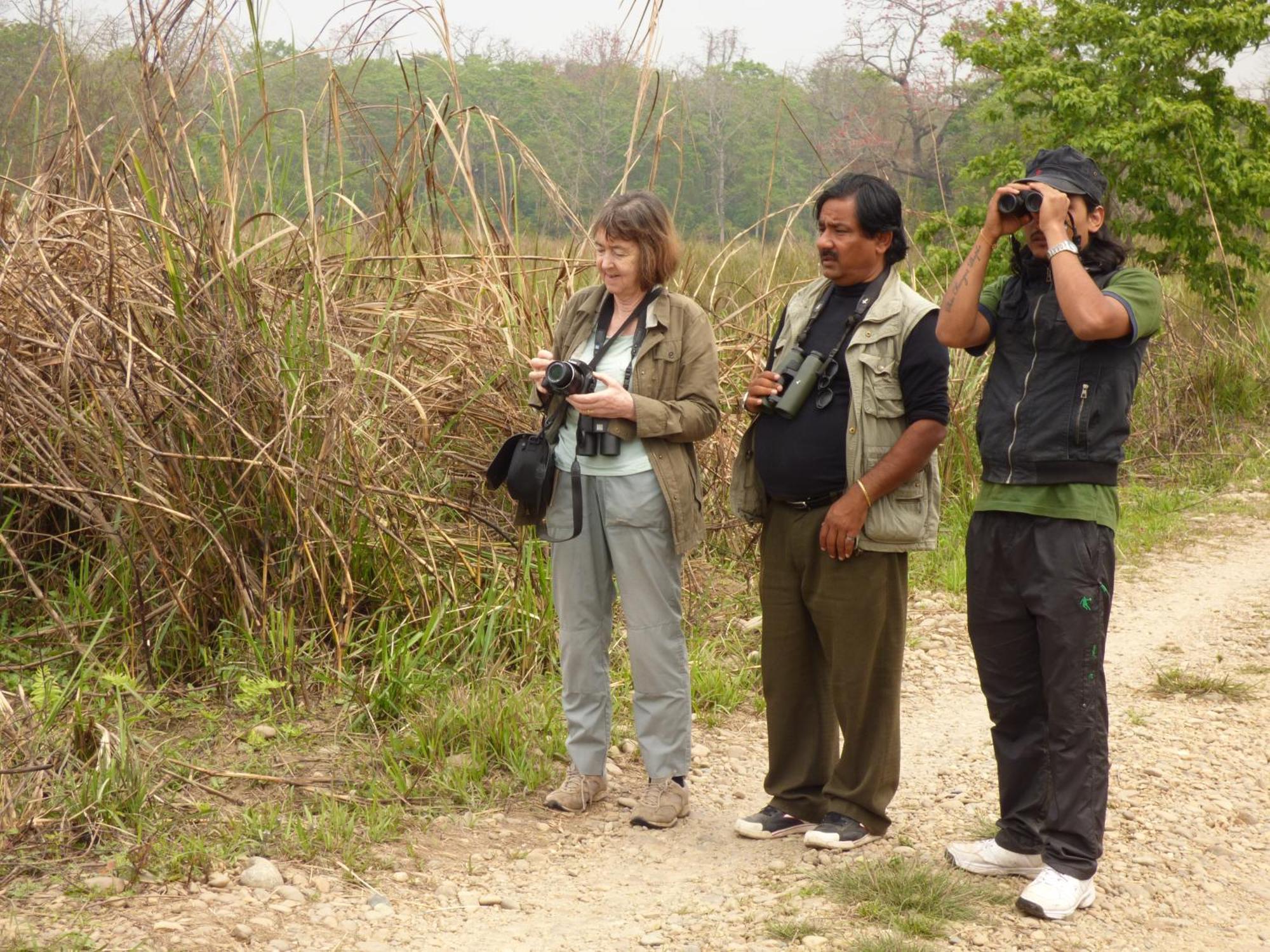 Chitwan Gaida Lodge - Animal Lovers & Birdwatchers Paradise 사우라하 외부 사진