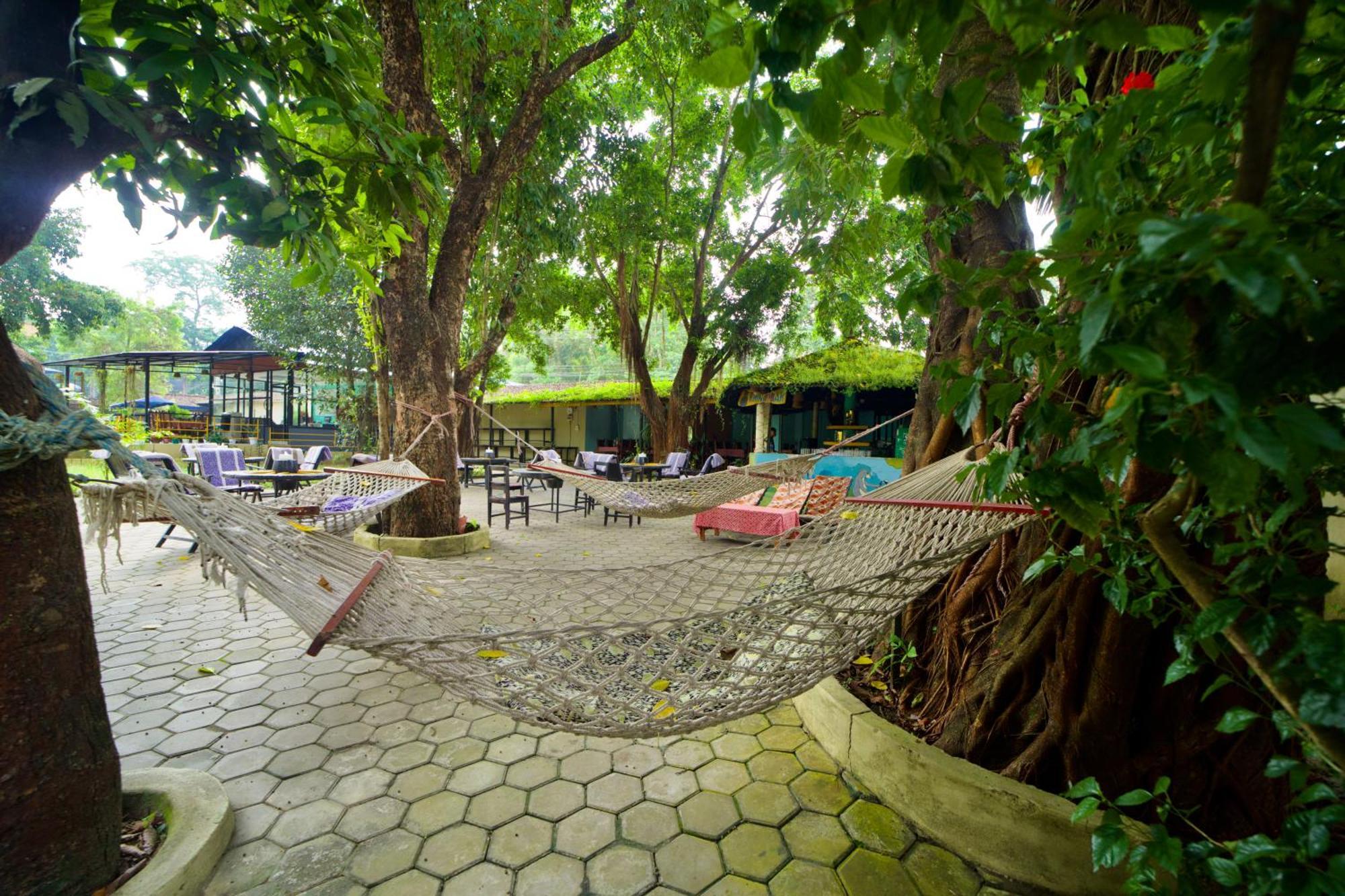 Chitwan Gaida Lodge - Animal Lovers & Birdwatchers Paradise 사우라하 외부 사진